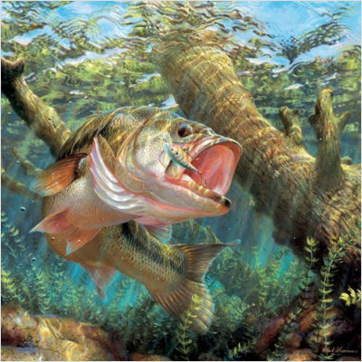 SENSES: Largemouth bass have the five major senses common to most animals: 